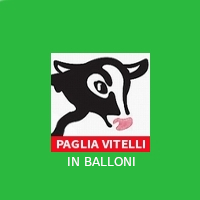 pagliavitelliinballoni