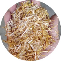 lettierainpaglia